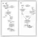 Fig. 01 - METHOD FOR DETECTING INTRACYTOPLASMIC PROTEIN/PROTEIN INTERACTIONS