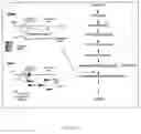 Fig. 02 - METHOD FOR DETECTING INTRACYTOPLASMIC PROTEIN/PROTEIN INTERACTIONS