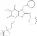 Fig. 100 - METHODS OF TREATING BENIGN PROSTATIC HYPERPLASIA OR LOWER URINARY TRACT SYMPTOMS BY USING PDE 5 INHIBITORS