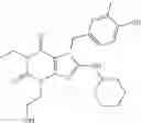 Fig. 110 - METHODS OF TREATING BENIGN PROSTATIC HYPERPLASIA OR LOWER URINARY TRACT SYMPTOMS BY USING PDE 5 INHIBITORS