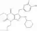 Fig. 175 - METHODS OF TREATING BENIGN PROSTATIC HYPERPLASIA OR LOWER URINARY TRACT SYMPTOMS BY USING PDE 5 INHIBITORS