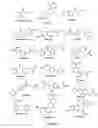 Fig. 08 - Functionalized biodegradable triclosan monomers and oligomers for controlled release