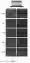 Fig. 06 - Ultrathin Multilayered Films for Controlled Release of Anionic Reagents