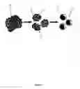 Fig. 02 - Water-soluble nanoparticles with controlled aggregate sizes