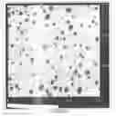 Fig. 02 - Multi-component catalyst systems and polymerization processes for forming in-situ heterophasic copolymers and/or varying the xylene solubles content of polyolefins