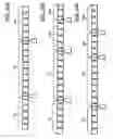Fig. 28 - Seating system and assembly