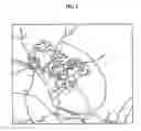 Fig. 02 - System and Method for Expressing Map According to Change Season and Topography