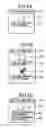 Fig. 06 - STATUS PROCESSOR AND STATUS DISPLAY METHOD