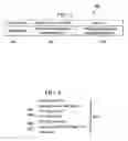 Fig. 03 - Method and system for limiting instances of a client-server program within a restricted distributed network