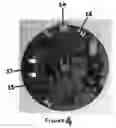 Fig. 05 - Zugidome dating / social interaction system