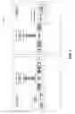 Fig. 02 - Compiling and translating method and apparatus