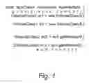 Fig. 02 - Dynamic class loading