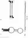 Fig. 16 - Methods and materials using signaling probes