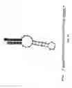 Fig. 22 - Methods and materials using signaling probes