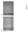 Fig. 35 - Methods and materials using signaling probes