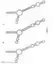 Fig. 38 - Methods and materials using signaling probes