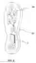 Fig. 06 - Footwear
