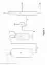 Fig. 02 - Hydrogenation Process