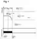 Fig. 02 - Method of operating a device for filling a tank with cryogenically stored fuel