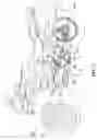 Fig. 02 - Engine for small vehicle