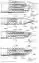 Fig. 09 - NEBULIZING CATHETER SYSTEM AND METHODS OF USE AND MANUFACTURE