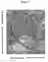 Fig. 06 - Two-dimensional strandness-and length-dependent separation of nucleic acid fragments