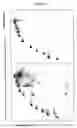 Fig. 09 - Two-dimensional strandness-and length-dependent separation of nucleic acid fragments