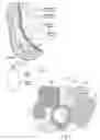 Fig. 02 - Post-surgical accessory convenience kit