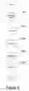 Fig. 07 - Apparatus, system, and method for purifying nucleic acids