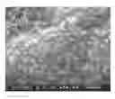 Fig. 01 - COMPOSITE MEMBRANE