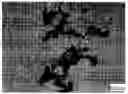 Fig. 01 - Process for Production of Hybrid Polymeric Material