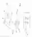 Fig. 06 - Bio-electromechanical device