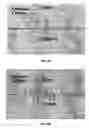 Fig. 08 - High Frequency Piezocomposite And Methods For Manufacturing Same