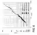 Fig. 06 - Test structure for electromigration analysis and related method