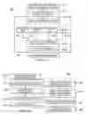 Fig. 02 - System and method for image processing with assignment of medical codes