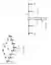 Fig. 07 - APPARATUS, SYSTEM AND METHOD FOR MOUNTING A DISPLAY SCREEN IN A VEHICULAR COMPARTMENT