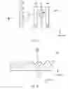 Fig. 09 - Optical sheet, method of manufacturing the same, and display apparatus