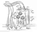 Fig. 06 - Light reflex testing device