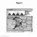 Fig. 07 - Method and apparatus for enhancing waveguide sensor signal