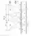 Fig. 22 - Method for manufacturing electro-optic device and electro-optic device