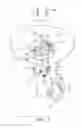 Fig. 03 - Lamp holder with improved structure