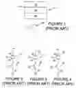 Fig. 02 - Erase, programming and leakage characteristics of a resistive memory device