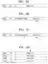 Fig. 07 - Method for turbo transmission of digital broadcasting transport stream, a digital broadcasting transmission and reception system, and a signal processing method thereof