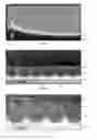 Fig. 02 - Stress-induced bandgap-shifted semiconductor photoelectrolytic/photocatalytic/photovoltaic surface and method for making same