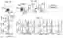 Fig. 02 - Detection and treatment of autoimmune disorders