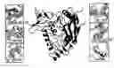 Fig. 01 - Hiv Gp120 Crystal Structure and Its Use to Identify Immunogens