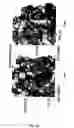 Fig. 09 - Hiv Gp120 Crystal Structure and Its Use to Identify Immunogens