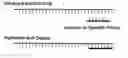 Fig. 01 - Primers and probes for detection and discrimination of types and subtypes of influenza viruses