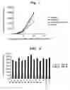 Fig. 02 - SPECIMEN PRETREATMENT LIQUID, KIT FOR MEASURING VIRUS, AND METHOD FOR DETECTING VIRUS