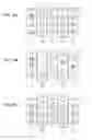 Fig. 06 - Gaming machine arranging two symbol columns in the same order
